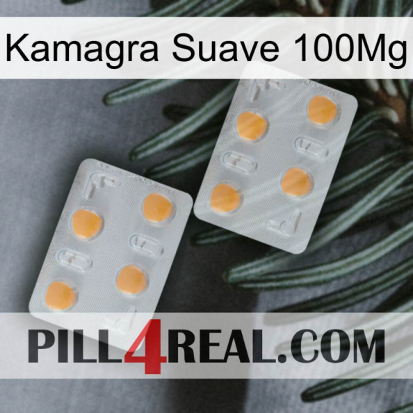 Kamagra Soft 100Mg 25.jpg